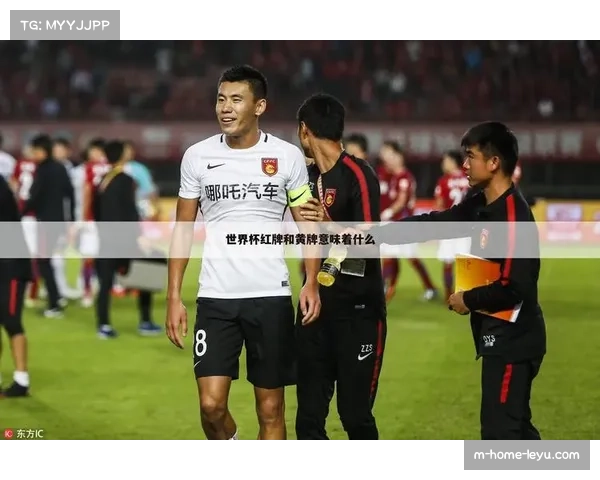 跨赛事停赛机制放大红牌代价 一张直红可能触发至少三场禁赛
